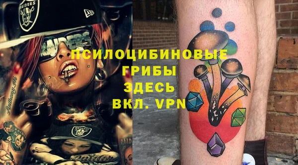 spice Лиски