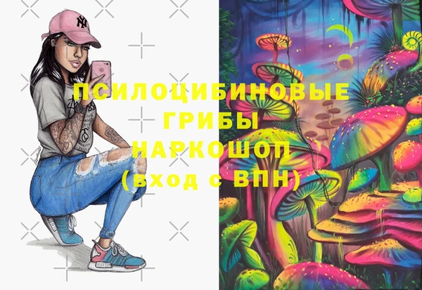 spice Лиски